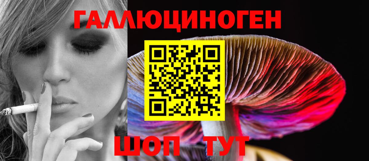 Галлюциногенные грибы прущие грибы Черняховск